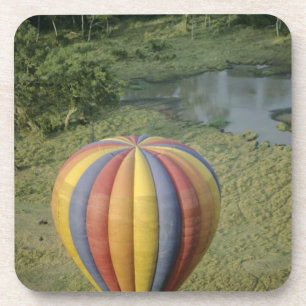 Porta-copo África, Quênia, Reserva Nacional Masai Mara, 3