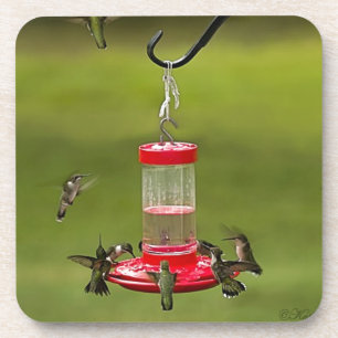Porta-copo Agitação de alimentação do colibri Throated do