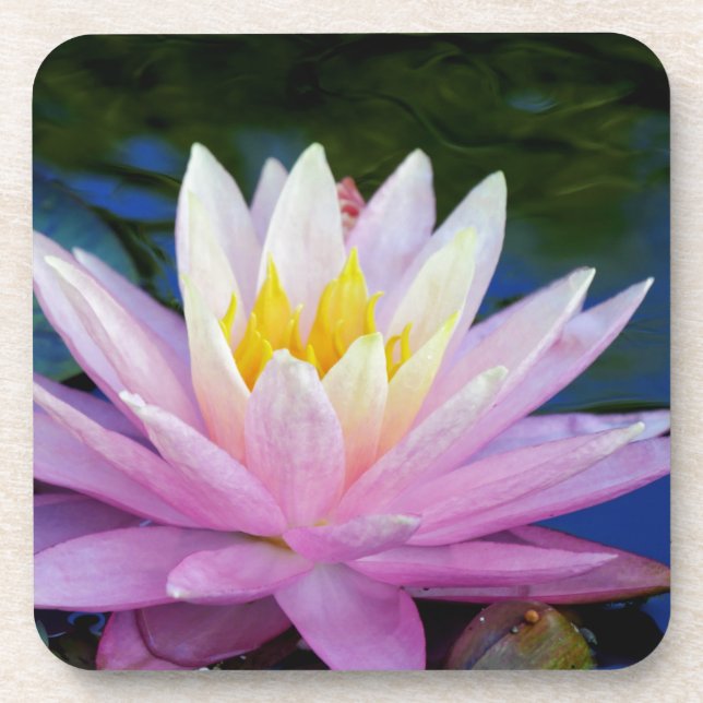 Porta-copo Água Rosa Suave (Frente)