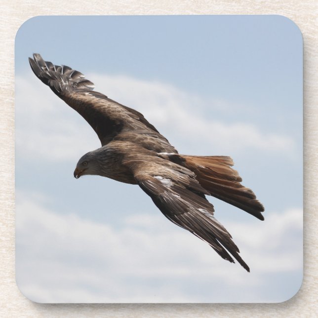 Porta-copo Águia (Frente)