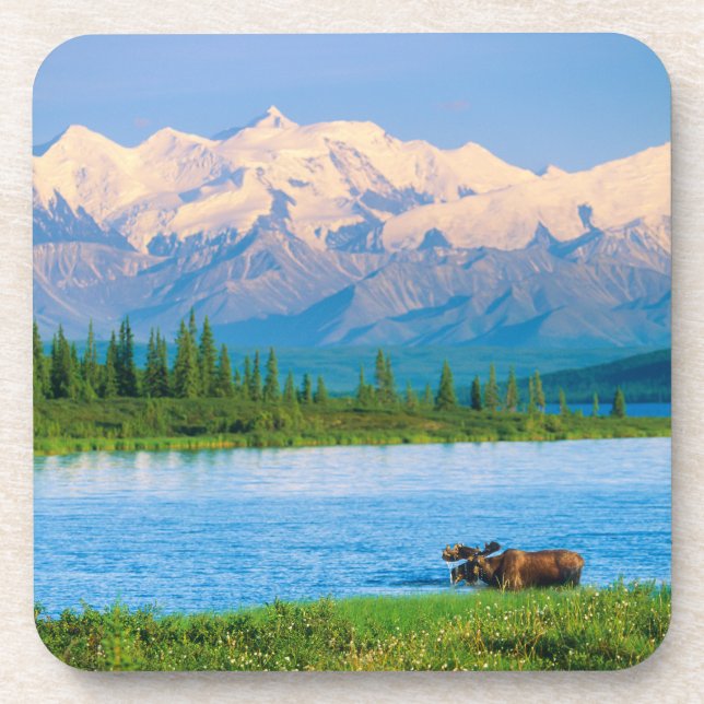 Porta-copo Alce macho no Wonder Lake (Frente)