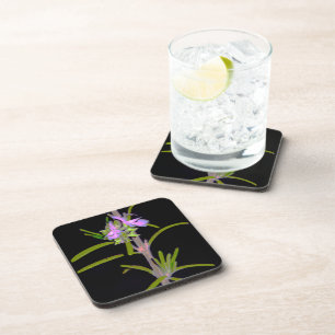 Porta-copo Alecrim em Flor