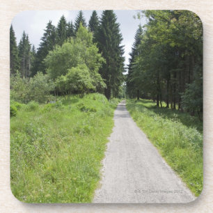 Porta-copo Alemanha, Thuringia, trajeto na floresta