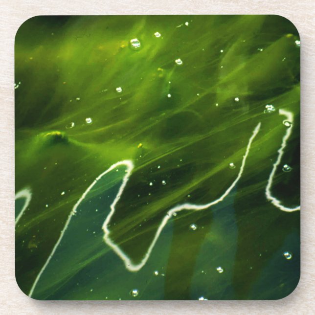 Porta-copo Algas verdes e litoral aquático (Frente)