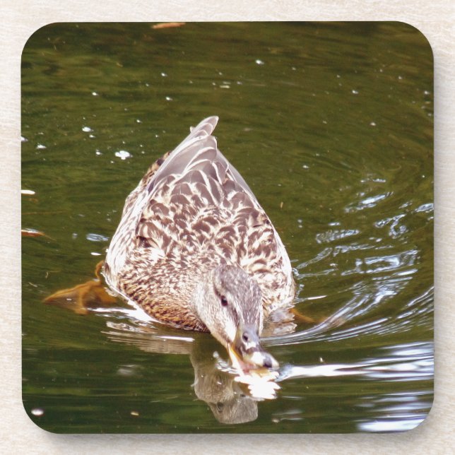 Porta-copo Alimentação de Pato Cortado (Frente)