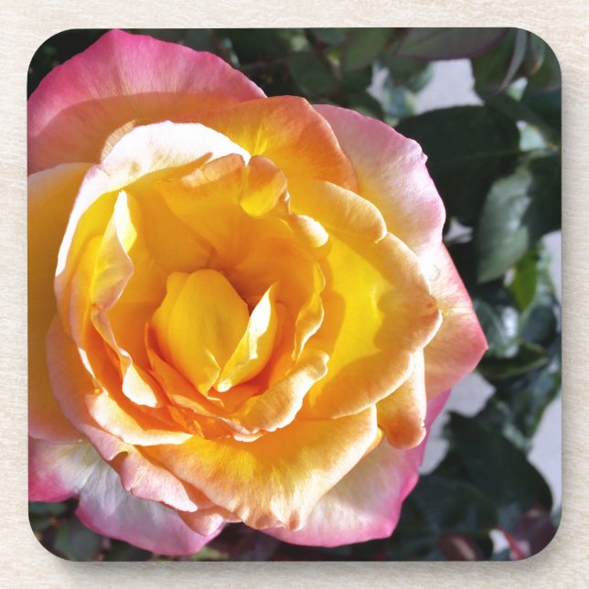 Porta-copo amarelo e rosa (Frente)