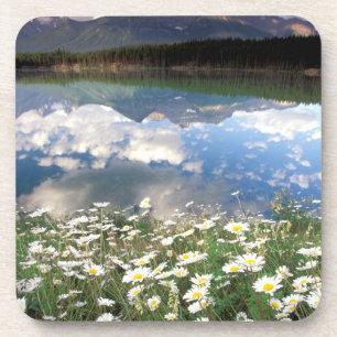 Porta-copo América do Norte, Canadá, Alberta, Parque Nacional