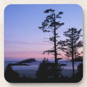 Porta-copo América do Norte, Canadá, ilha de Vancouver, ár
