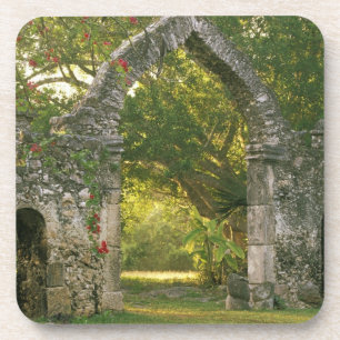 Porta-copo América do Norte, México, Península de Yucatán,