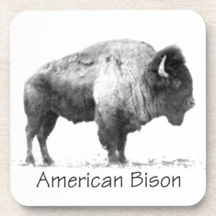 Porta-copo American Bison