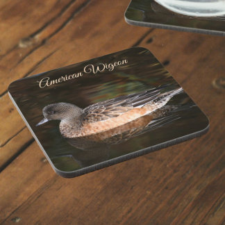 Porta-copo American Wigeon em Pond Wildlife Photo