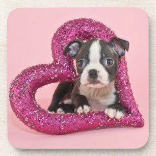 Porta-copo Amor de filhote de cachorro das imagens de Getty