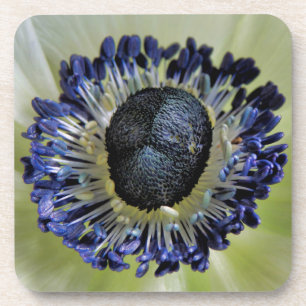 Porta-copo Anemone Mistral Panda