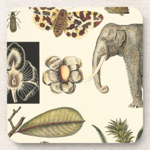 Porta-copo Animais Partilhados Pintados em Fundo de Creme