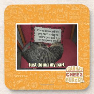 Porta-copo Apenas fazendo minha divisória