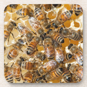 Porta-copo Apicultura na Arlo's Honey Farm