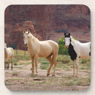 Porta-copo Arizona, Reserva Indígena Navajo, Chinle,