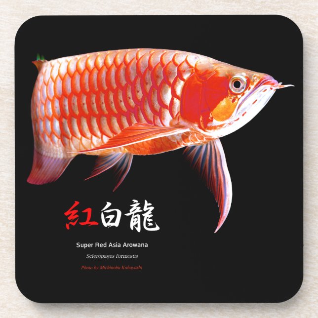 Porta-copo Arowana asiática の 優 良 製 品 (Frente)