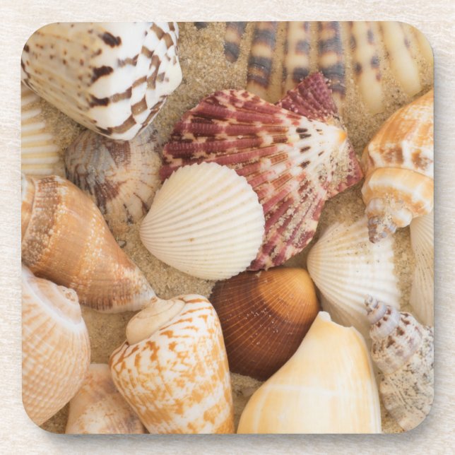 Porta-copo Arranjo do Seashell (Frente)