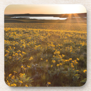 Porta-copo Arroio de Balsamroot de Folha de Seta de Flores Si