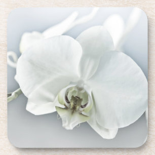 Porta-copo Arte Botânica de Orquídea Branca Elegante