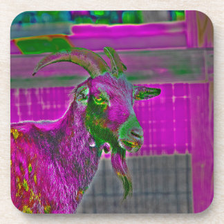 Porta-copo Arte de Goat