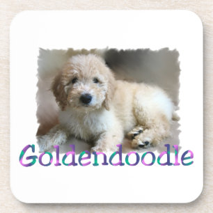 Porta-copo Arte de Goldendoodle