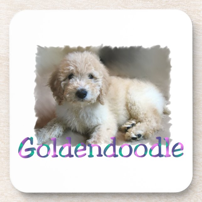 Porta-copo Arte Goldendoodle (Frente)
