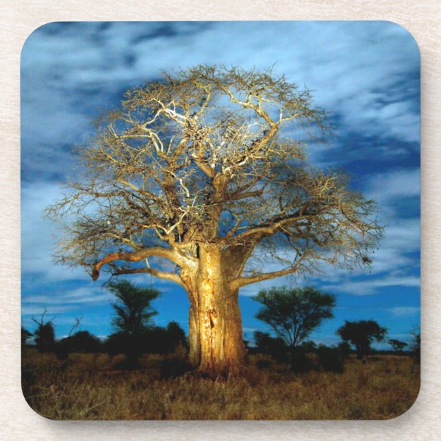 Porta-copo Árvore Baobá (Adansonia) Iluminada pela Lua (Frente)