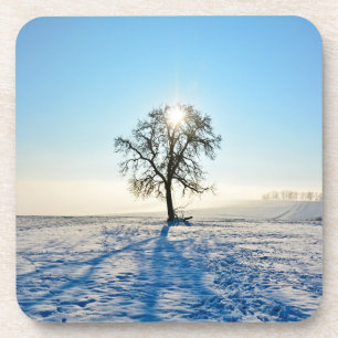 Porta-copo Árvore de Inverno   -     -