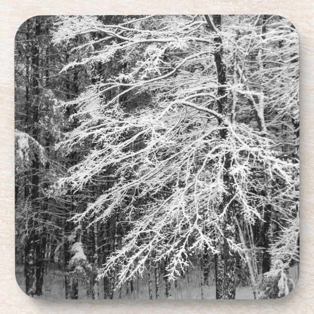 Porta-copo Árvore de Mapeamento Descrito Na Neve (Frente)