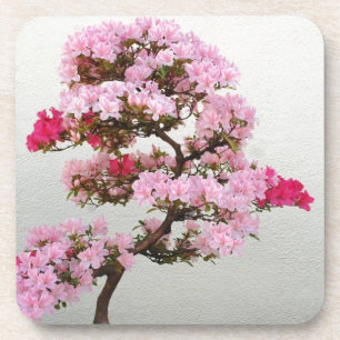 Porta-copo Árvore Rosa Bonsai
