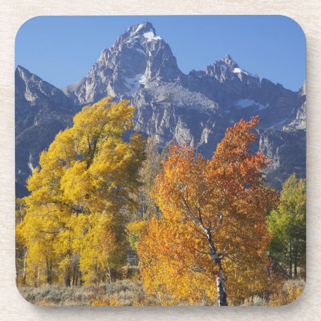 Porta-copo Árvores de Aspen com a cordilheira Teton (Frente)