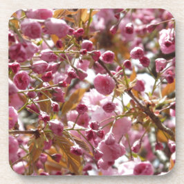 Porta-copo Árvores de Cereja Japonesas
