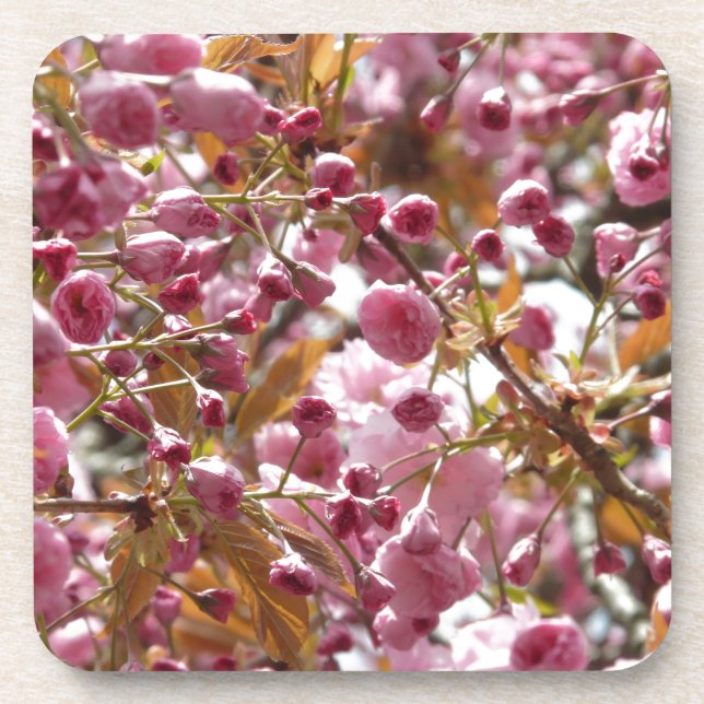 Porta-copo Árvores de Cereja Japonesas (Frente)