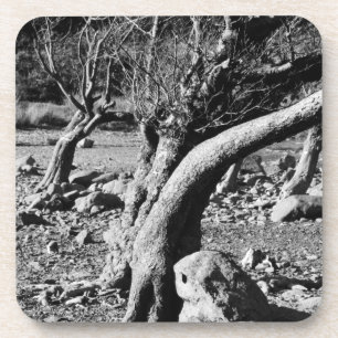 PORTA-COPO ÁRVORES PRETAS E BRANCAS