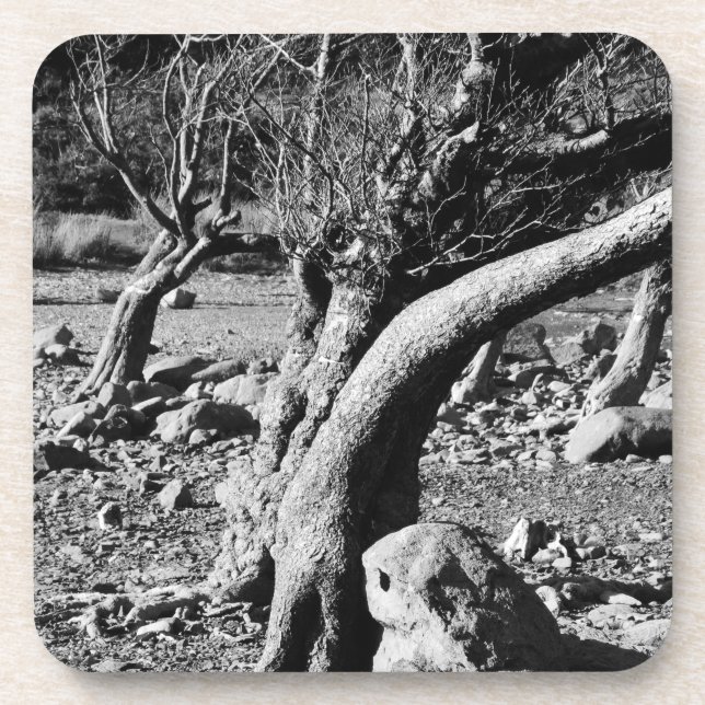 PORTA-COPO ÁRVORES PRETAS E BRANCAS (Frente)