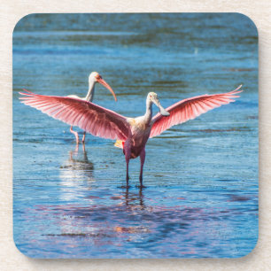 Porta-copo As portas copos w/cork do Spoonbill róseo suporta