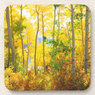 Porta-copo Ascender Árvores Em Queda  Serra Nevada, CA