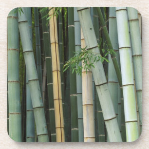 Porta-copo Ásia, Japão, Kyoto, Arashiyama, Sagano, Bambu