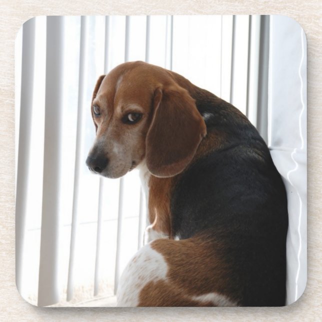 Porta-copo atitude do beagle (Frente)