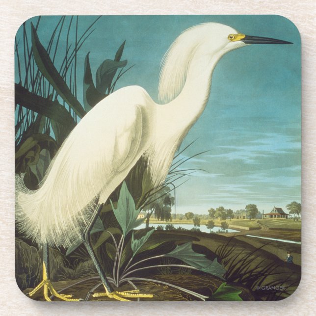 Porta-copo Áudio: Egret (Frente)