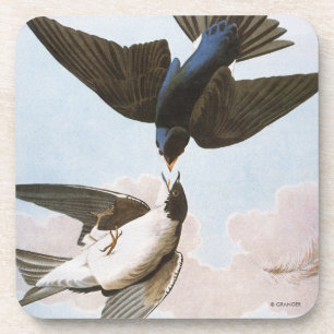 Porta-copo Audubon: Andorinha de árvore