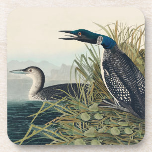 Porta-copo Audubon Bird Loon Diver Classic