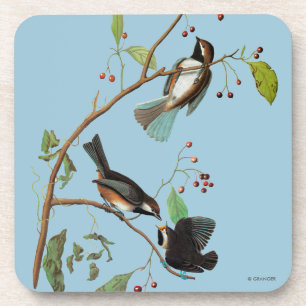 Porta-copo Audubon: Chickadee