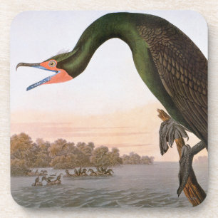 Porta-copo Audubon: Cormorant com crista dobro