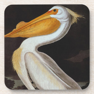 Porta-copo Audubon: Grande pelicano branco