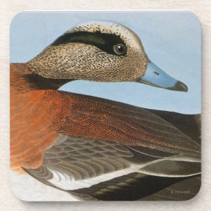 Porta-copo Audubon: Wigeon