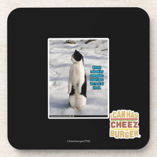 Porta-copo Aumentado por pinguins