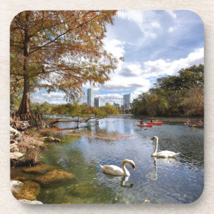 Porta-copo Austin, Texas Barton Creek / Ladybird Lake Swans